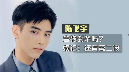 陈飞宇爆料者是谁呀视频,揭秘背后真相 第3张 陈飞宇爆料者是谁呀视频,揭秘背后真相 第3张
