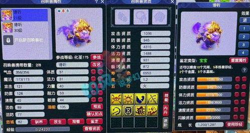 七夕锦衣老王爆料视频,揭秘神秘视频背后的故事 第3张 七夕锦衣老王爆料视频,揭秘神秘视频背后的故事 第3张