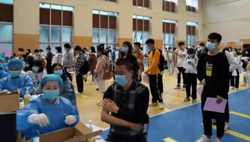 屯昌最新爆料消息视频,视频揭秘惊人真相! 第3张 屯昌最新爆料消息视频,视频揭秘惊人真相! 第3张